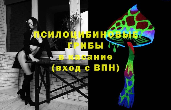 Альфа ПВП Медногорск