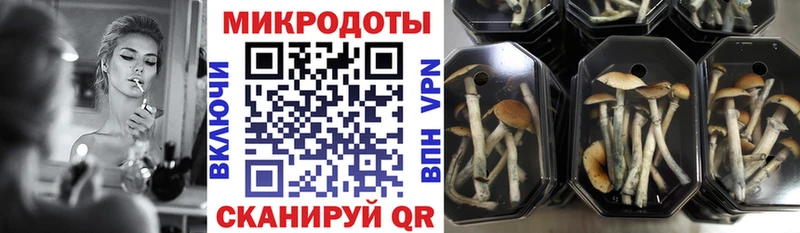 Галлюциногенные грибы Psilocybine cubensis  даркнет сайт  hydra как зайти  Нолинск 